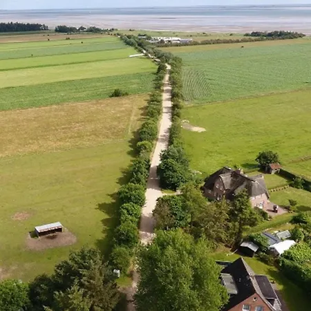 Ferienhaus Ferienhaus Strandnah In Nieblum *